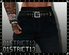 D13l Zander Pants II