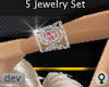 dev 5 Jewelry Set