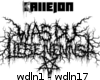 Callejon-WDLN
