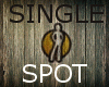 Single Spot "Add On"