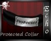 [Echo]Protected Collar