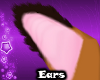| Foxira Ears |