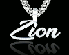 Zion Custom
