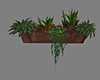 Window Flower Box III