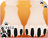 [Pets] Frankie | paws