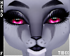 Head | Kitterin