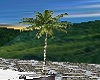 Coconut Tree Animated