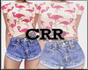 CRR  [ PW Outfit ]