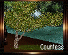 [C]SPRING TREE