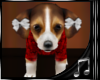 {M} G Beagle4 Pet w/S
