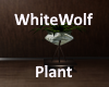 [BD]WhiteWolfPlant