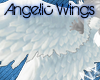 Angelic Wings *NX*