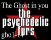 PsychadelicFurs-Ghost