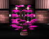 royal pink plant