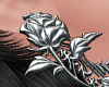 Chinese Earrings Silver
