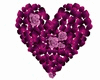 Heart roses purple