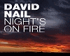 DavidNail:Night'sOnFire
