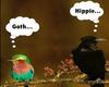 Goth And Emo Birds lmao