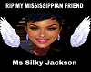 Silky Jackson banner