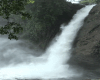 Sw. Autumn F. Waterfall