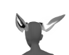 [A] Lil' Monster Ears