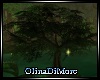 (OD) Old oak