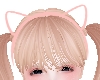xlvl1ux KittyPimk