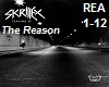 Skrillex - The Reason 1