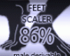 Scaler feet 87