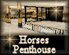 [my]Horses Penthouse