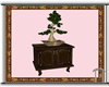 Antique Table and Bonsai