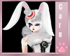 *C* White Rabbit Hat