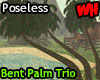Bent Palm Trio