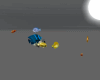 - shoals - ANIMATED