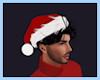 Di* Santa Hat/Hair Black