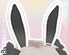 ❄ Bunny Black Ears