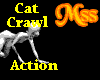 (MSS) Cat Crawl