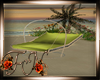 F:Tropicana Beach Swing