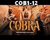-C- COBRA