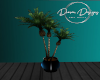 |DD|  Potted Palm Tree