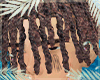 Hair