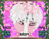 ꨄBlossom Hairꨄ