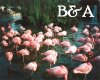 [BA] Flamingo Group