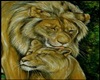 ".Lions Poster." l