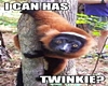 *TK*Cute Twinkie Sticker