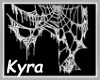 Spider Web Animated