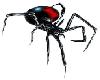 Blood Thurst Spider