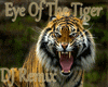 Eye Of The Tiger DJRemix