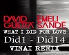 What i did for love