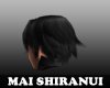 Mai Shiranui Hair01